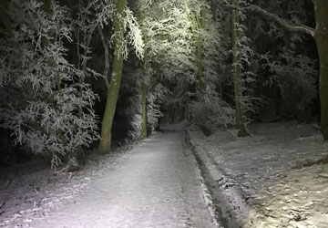 Gallery Image 8